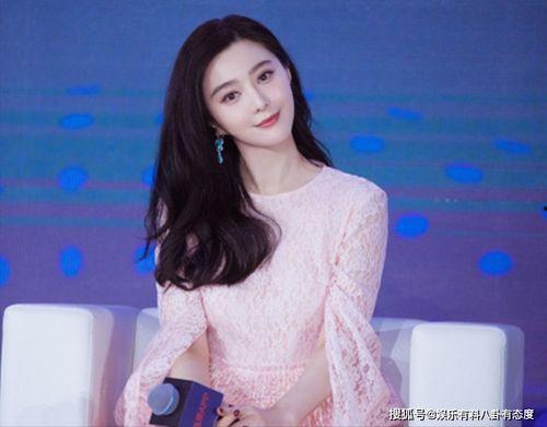 娱乐圈评价范冰冰,范冰冰的辉煌与争议之旅