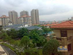 锦期照片,捕捉光影中的美好时光