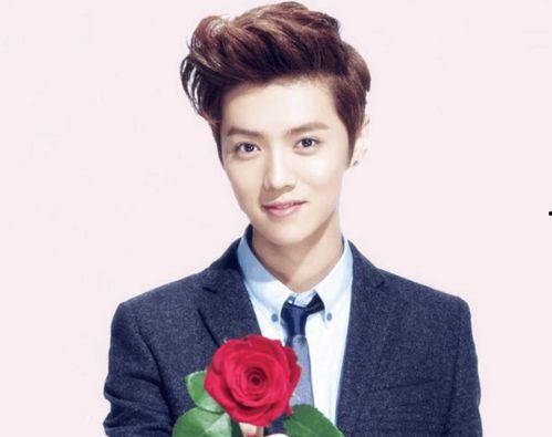 鹿晗壁纸图片,捕捉偶像风采，尽享视觉盛宴